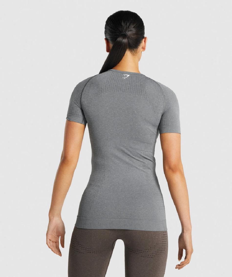 T Shirts Gymshark Vital Seamless 2.0 Mujer Gris | CO 2269JPQ